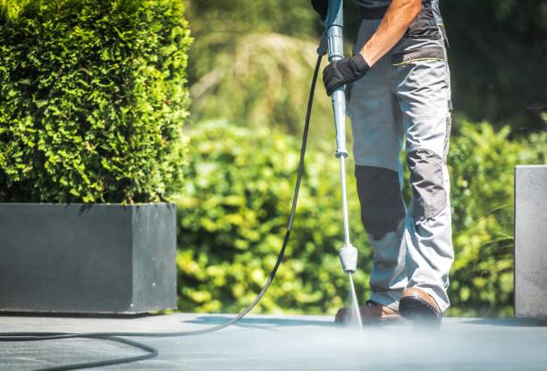 Animal Enclosure Cleaning in Hopwood, PA